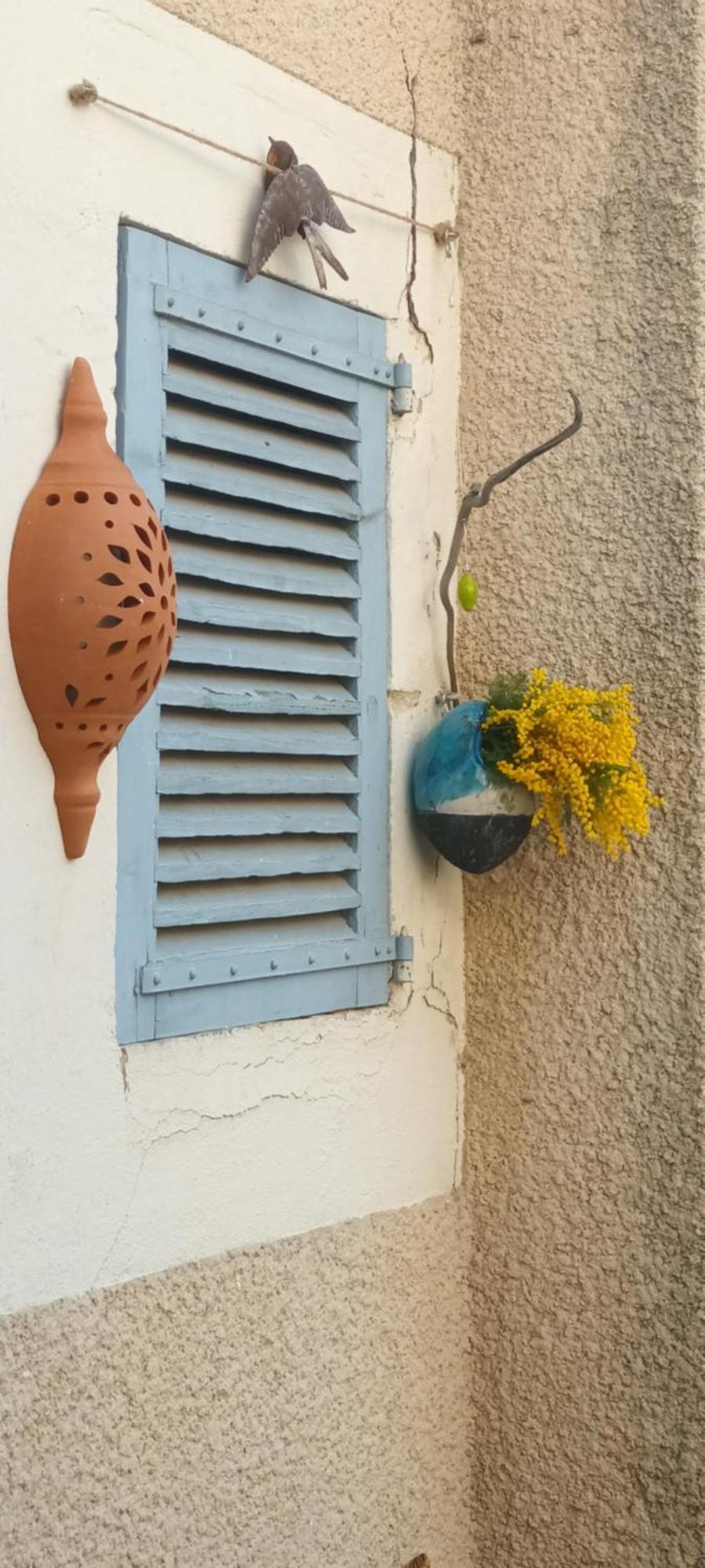 Maison Rulman Nîmes Exterior foto
